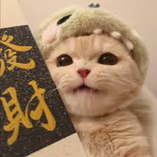 Người dùng Lê Thị Mai